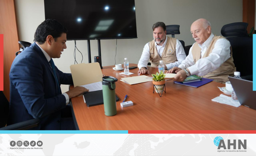 Consejero electoral hondureño entrega a misión OEA expediente sobre crisis institucional