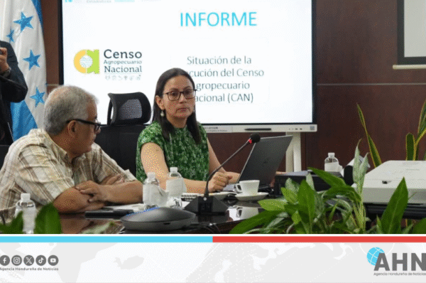 Avanza en un 93 por ciento el censo agropecuario nacional en Honduras
