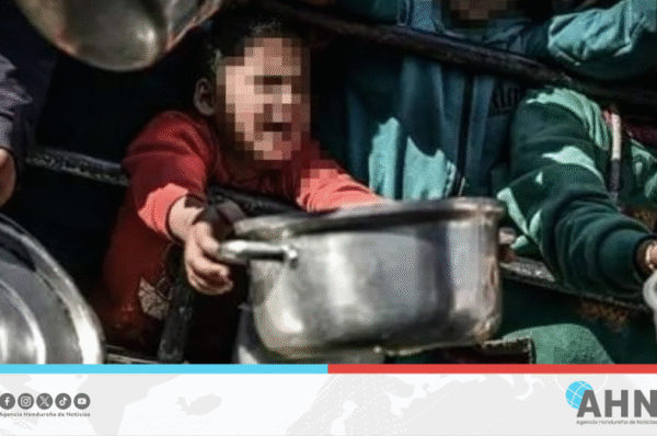 ONU denuncia desnutrición y colapso sanitario en Gaza