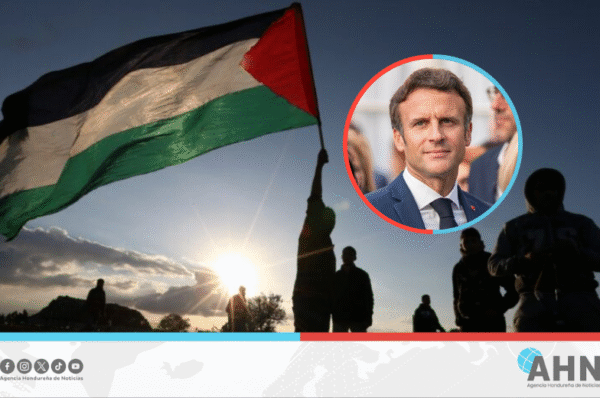 Presidente de Francia reconocerá a Palestina como Estado