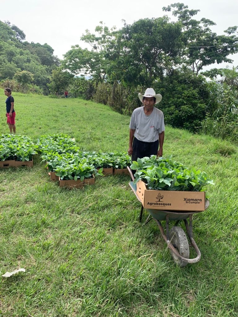 Honduras