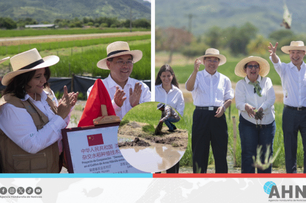 Lanzan Honduras y China proyecto para fortalecer seguridad alimentaria