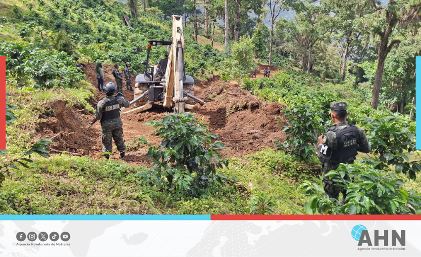 Reporta Honduras reducción de 87% en deforestación hasta junio de 2025
