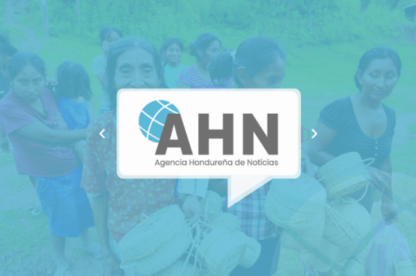 Perdón y Participación: Lecciones para un presidenciable