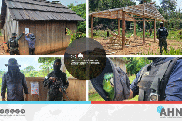Realizan operativo contra delitos ambientales en Honduras