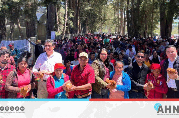 Gobierno entrega aves ponedoras a 18,000 familias del occidente de Honduras