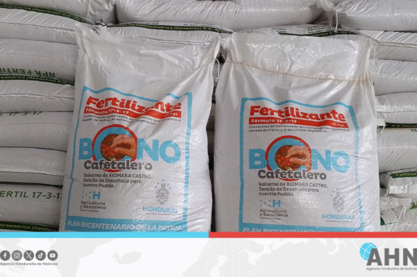 Entregan Bono Cafetalero a más de 1,600 productores del occidente de Honduras