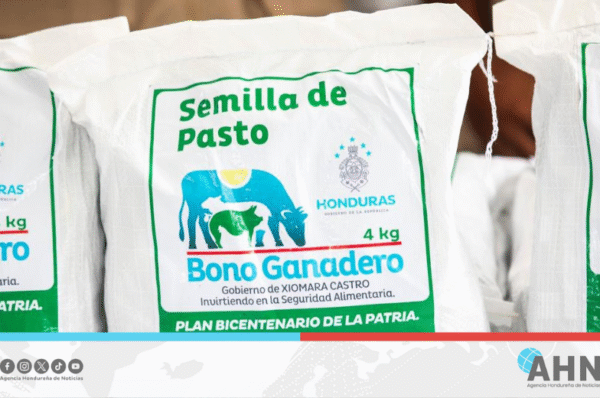 Autoridades anuncian lanzamiento de bonos para ganaderos y caficultores en oriente de Honduras