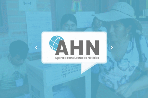 Bolivia: reflexiones sobre unas elecciones irregulares