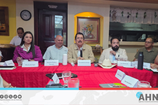 Diputada hondureña destaca triunfo de Rixi Moncada y organización de movilización del Partido Libre