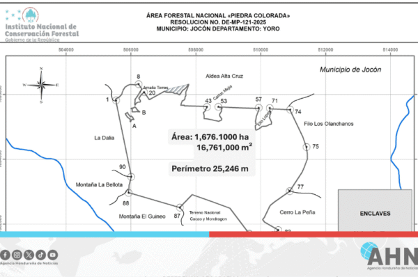 Instituto forestal titula tierras a favor del Estado hondureño