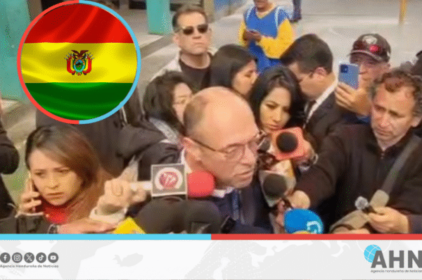 Jornada electoral boliviana transcurre pacíficamente asegura misión europea