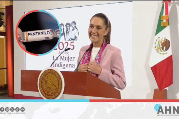 México anuncia reducción del 50 % en cruce de fentanilo a EEUU
