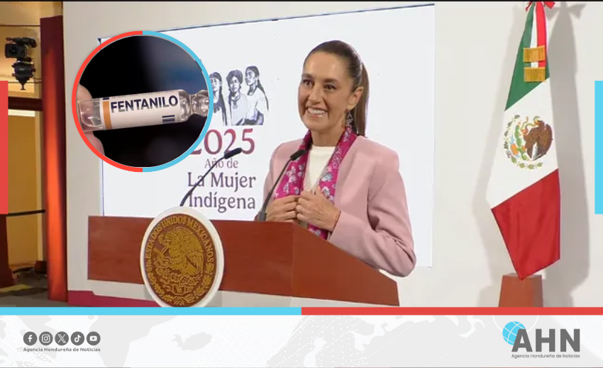 México anuncia reducción del 50 % en cruce de fentanilo a EEUU