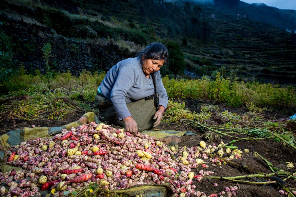Perú