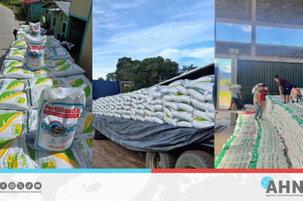 Secretaría hondureña entrega Bono Cafetalero a más de 119 mil productores