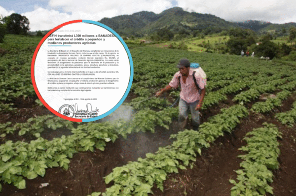 Gobierno hondureño transfiere 300 millones de lempiras para sector productivo rural