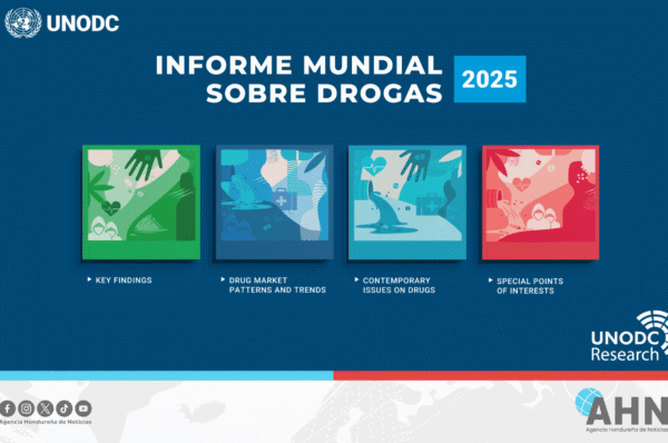Informe de la ONU destaca a Venezuela como país libre de cultivos de drogas