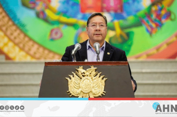 Presidente de Bolivia destaca participación ciudadana en elecciones