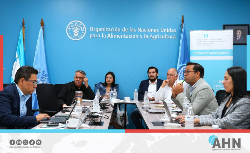 Gobierno de Honduras crea mesa nacional para promocionar inversiones agropecuarias