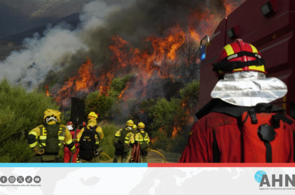 Incendios en España arrasan más de 380 mil hectáreas de bosque