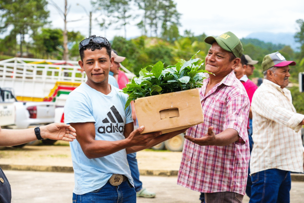 Gobierno hondureño entrega cinco millones de plantas a campesinos de 11 departamentos.