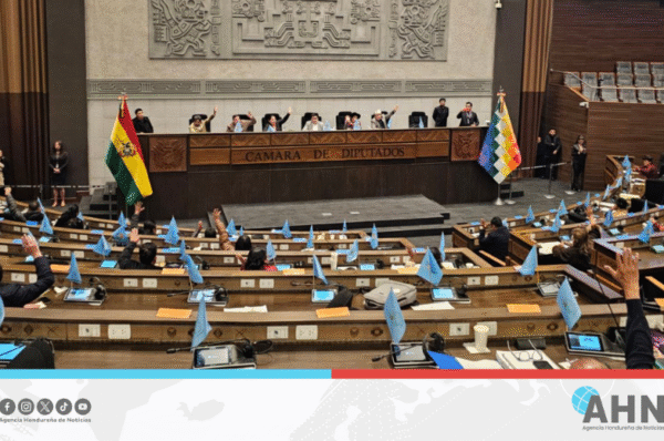 Bolivia aprueba ley contra abuso de menores en plataformas digitales