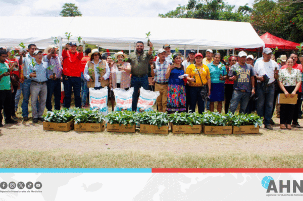 Apoya Honduras a pequeños caficultores con proyecto Agrobosques