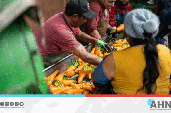 Organización internacional destaca respaldo de Alemania a proyecto para migrantes ecuatorianos