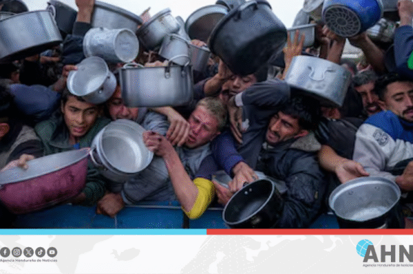 UNRWA denuncia asesinato de unos dos mil palestinos mientras buscaban alimento