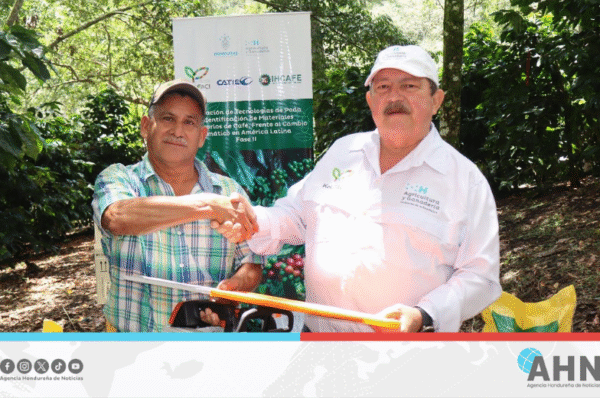 Honduras fortalece capacidades de caficultores frente a efectos del cambio climático