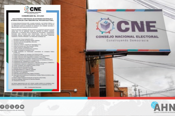 CNE de Honduras acredita 29 organizaciones como veedoras del proceso electoral