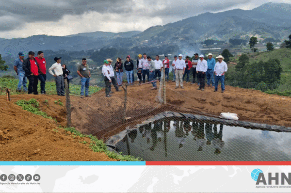 Invierte Honduras 260 millones de lempiras para productores del occidente
