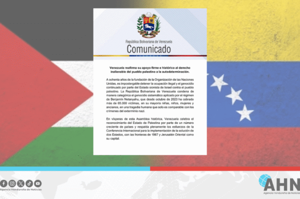 Venezuela defiende en la ONU el derecho inalienable del pueblo palestino