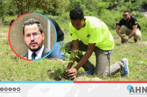Analista destaca reforestación de 194,000 hectáreas de bosque en Honduras