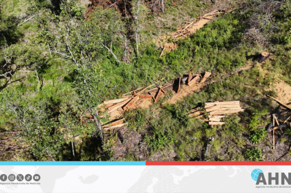 Autoridades neutralizan operaciones ilegales de minería en el oriente de Honduras