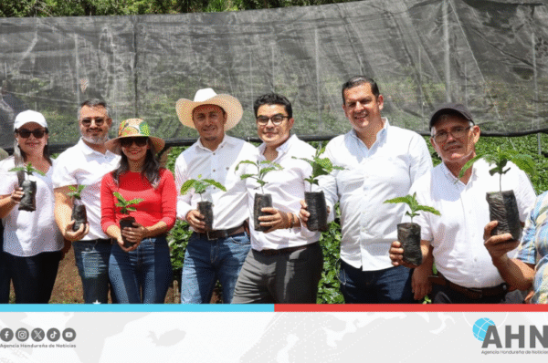 Vicecanciller participa en entrega de plantas en el nororiente de Honduras