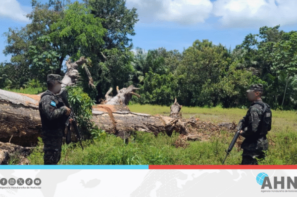 Instituto forestal realiza inspección en microcuenca del norte de Honduras