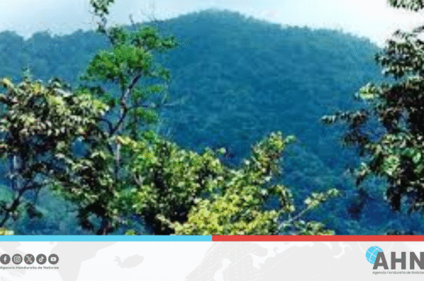 Advierten grave amenaza en Refugio de Vida Silvestre en el norte de Honduras