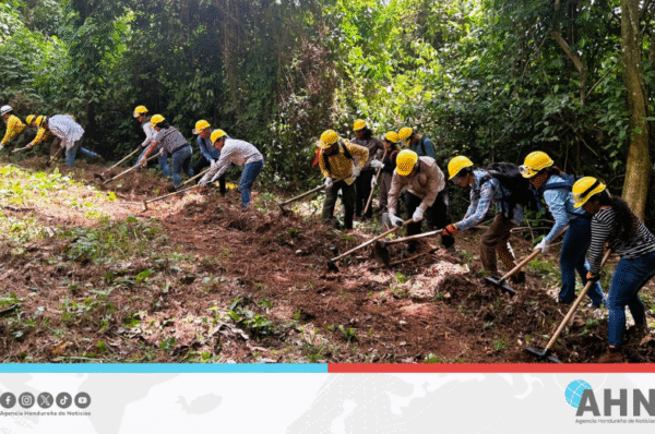 Gobierno hondureño fortalece capacidades locales en defensa y protección de los bosques