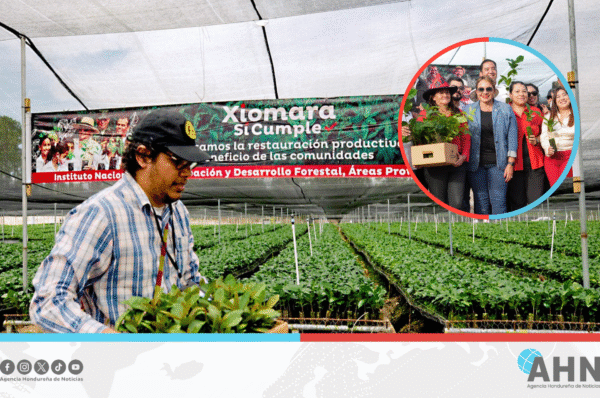 Presidenta Xiomara Castro inaugura quinto vivero forestal en Honduras