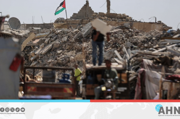 Organismo internacional exige acciones para detener el genocidio en Gaza