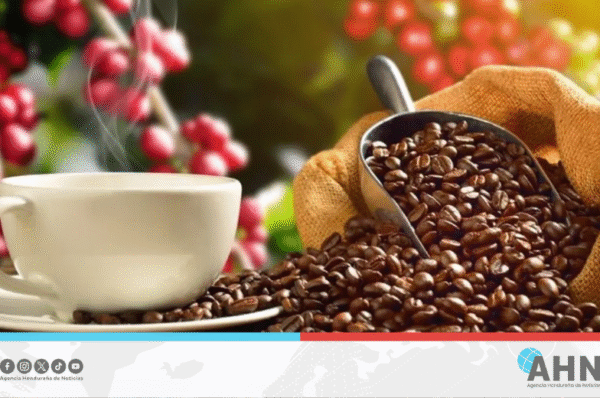 Honduras será sede del 140 Congreso Internacional del Café