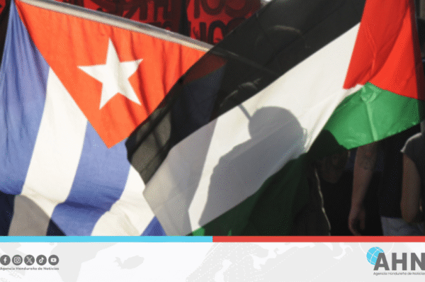 Cuba reitera solidaridad con Palestina ante crisis humanitaria en Gaza