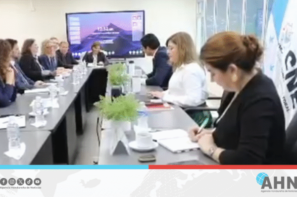 CNE de Honduras y Unión Europea coordinan observación electoral