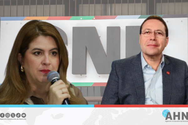 Advierten que declaraciones de consejera del CNE podrían provocar una crisis institucional