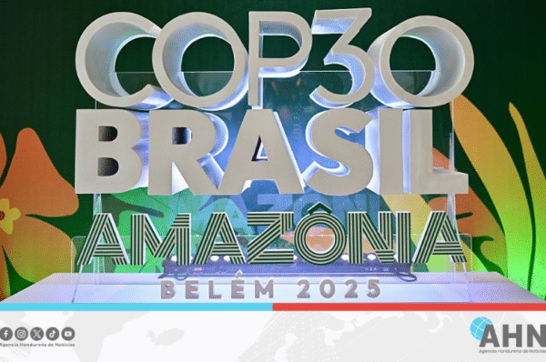 Amnistía Internacional celebra acuerdo que designa a Brasil sede de COP30