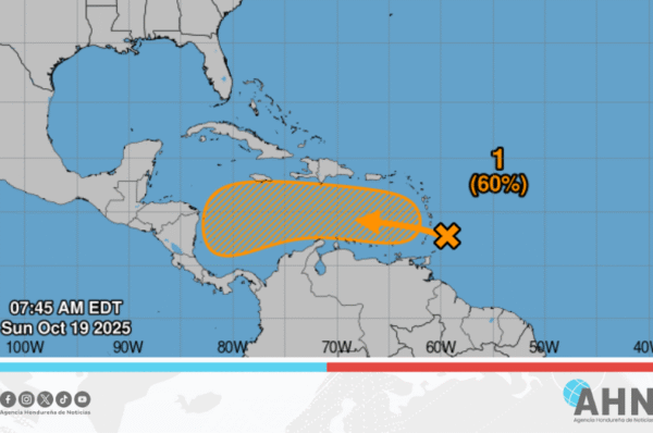 Centro de Huracanes continua monitoreo de onda tropical en el caribe
