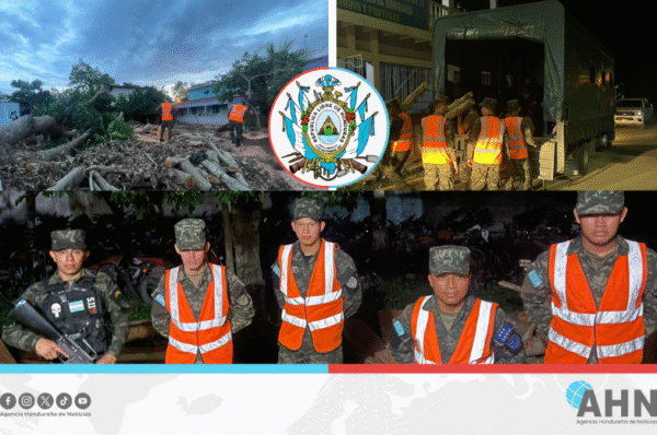 FFAA decomisan madera producto de tala ilegal en zona noroccidental de Honduras