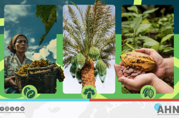 Honduras impulsa normativa europea para asegurar exportaciones sostenibles